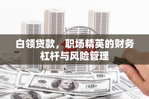 田家庵白领贷款，职场精英的财务杠杆与风险管理